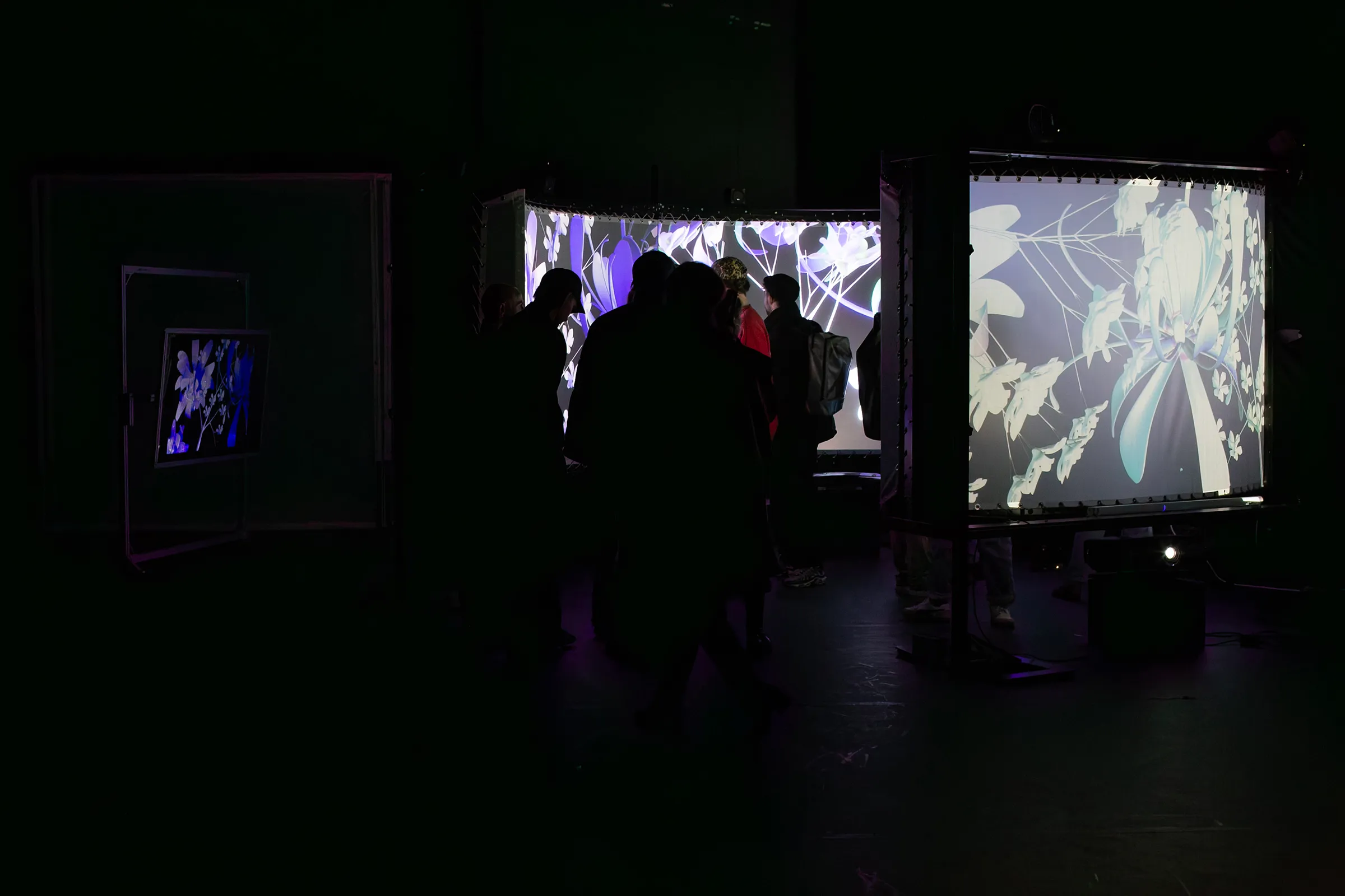 View into the installation from outside the circle of screens
